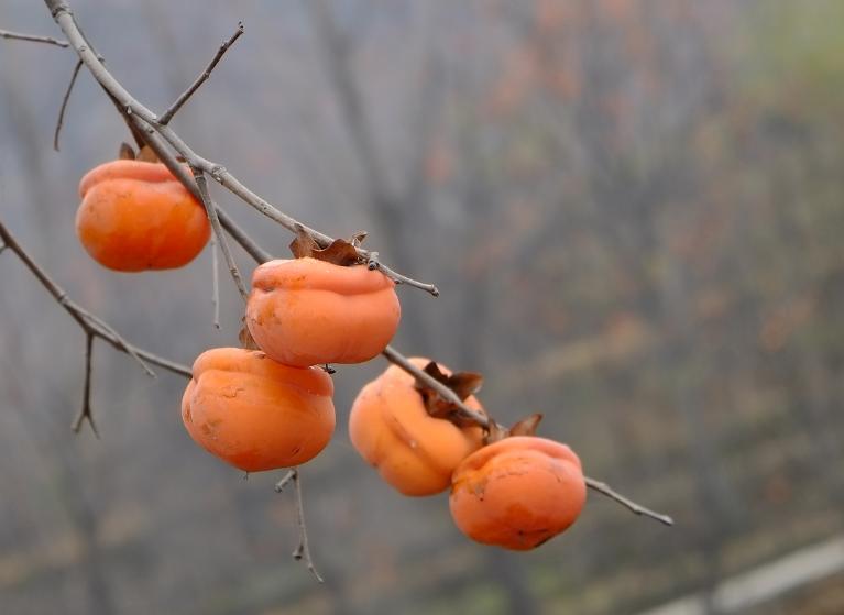 Nutrition expert After eating eggs, it is best not to touch these four