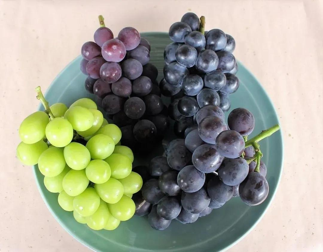 What is the difference between grapes and raisins? iNEWS