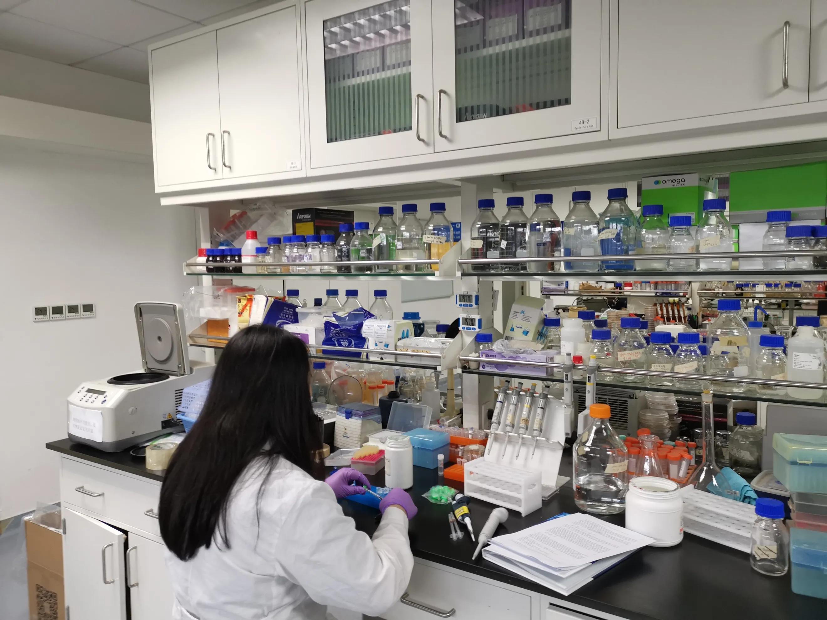 Epoch-making results - iNEWS