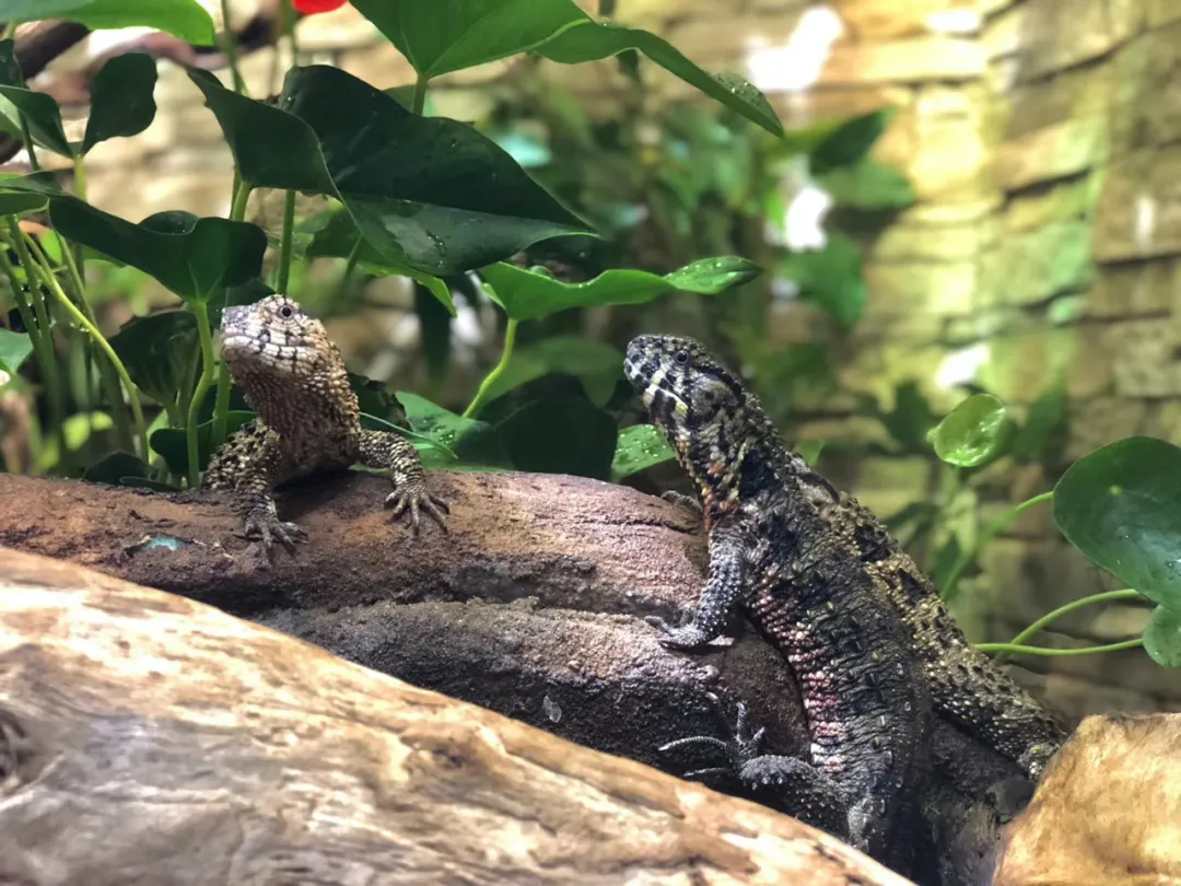 What should I do if the room is too hot?7 ways to cool down at home iNEWS