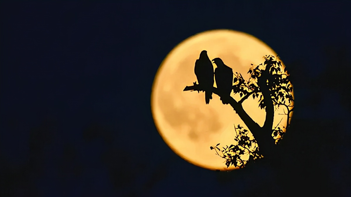 Poem Recitation Moon Love INEWS