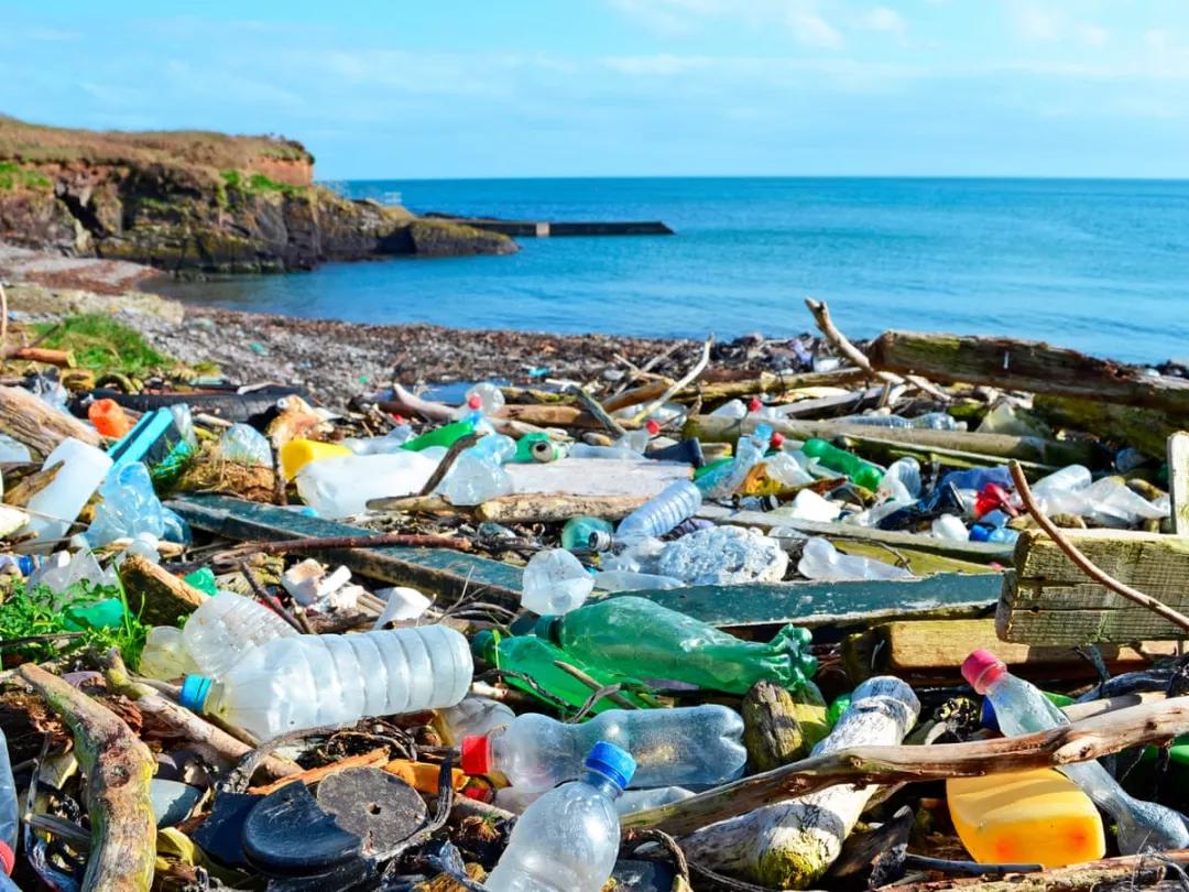 Australian yogurt lids cannot be licked! Over 70 of the packages