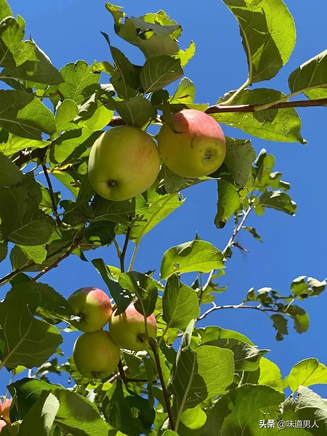 Journey to the West Decryption 13 Why Taizong Li Shimin thanked him