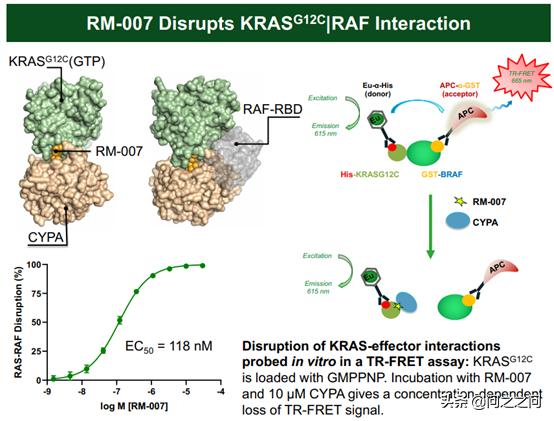 "Tricomplex" Inhibitor Is Expected To Solve The KRAS-G12C Inhibitor ...