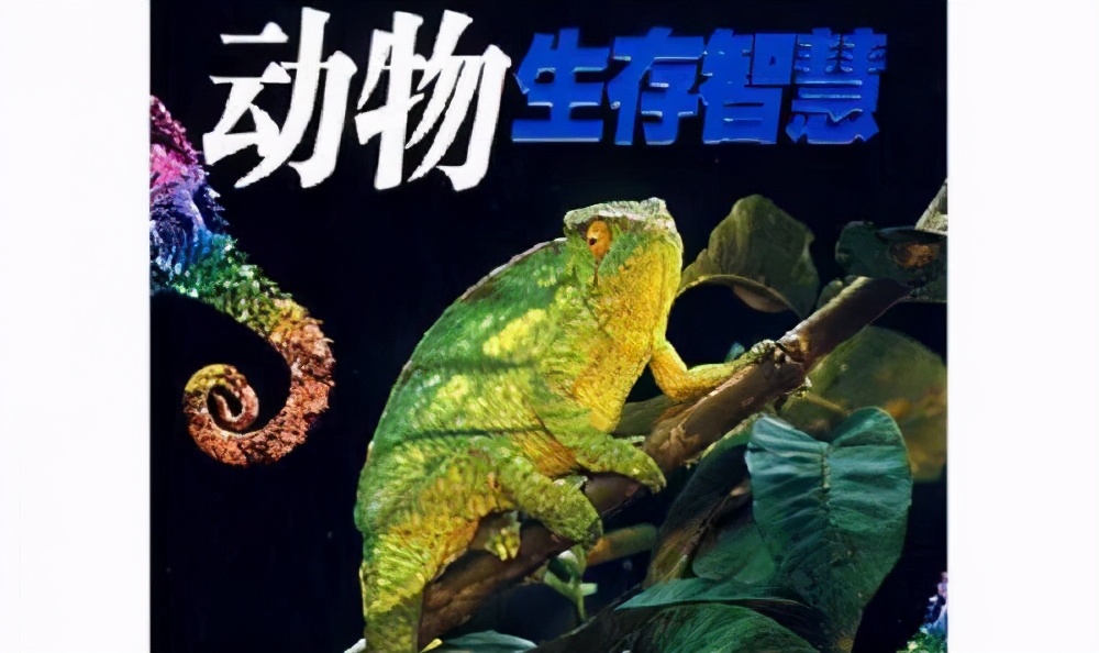 Insects also screw the caps of bottles?Two bees in Brazil unscrewed the