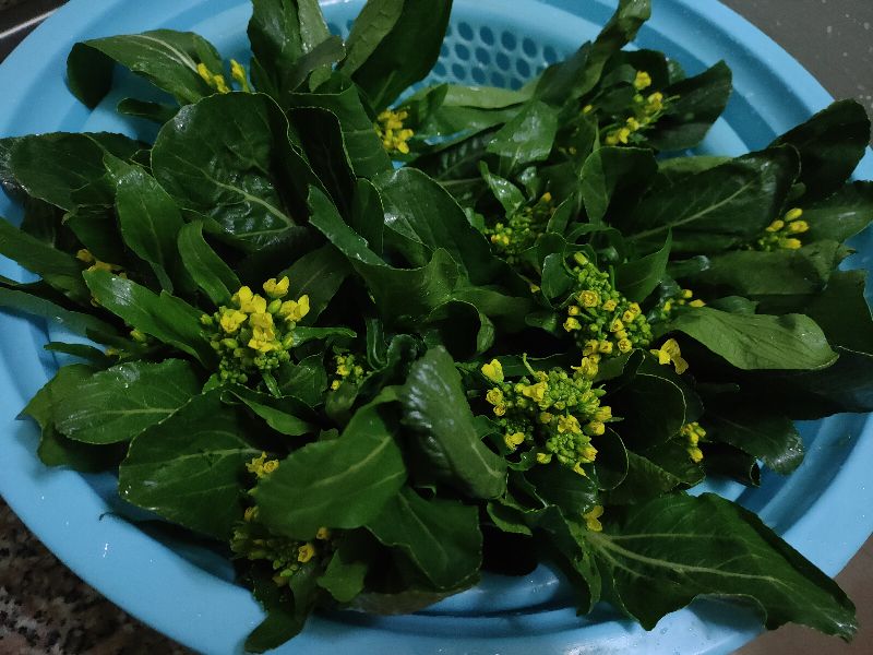 Can the yellow flowers on the cabbage be eaten?Teach you how to do it correctly, the fried
