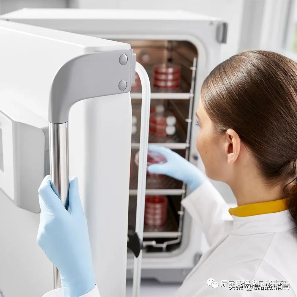 Do not throw away the spores in the cell incubator after contamination