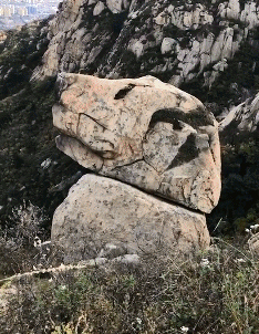 搞笑GIF图片：黄泉路上行人稀，总有车神较高低