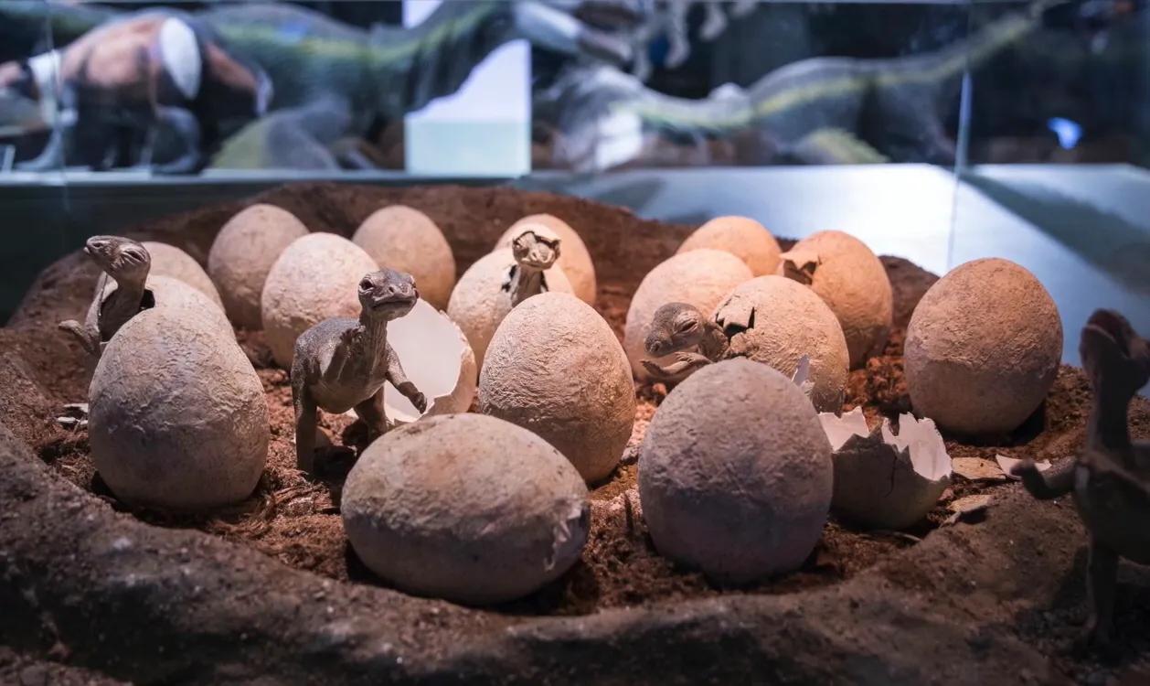 Scientists will "resurrect" the dinosaur through engineering