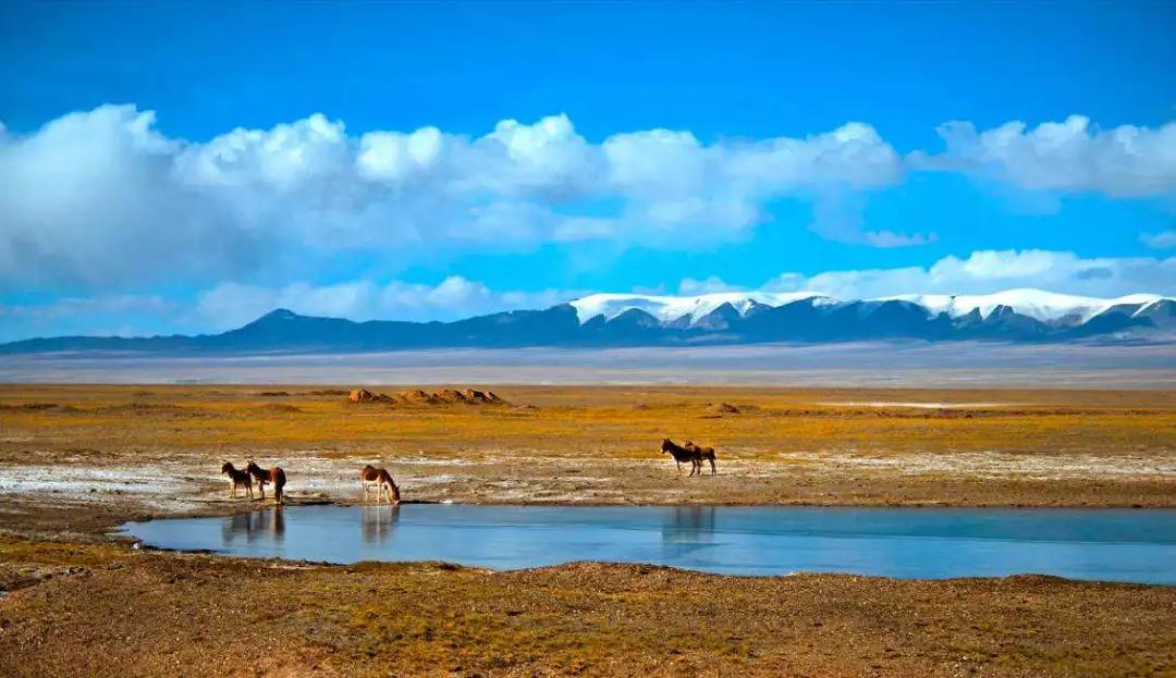 China's top ten wonderlands, heaven and earth, wonderful scenery - iNEWS