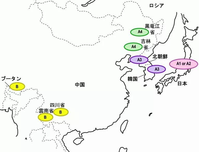 Which is better, Chinese matsutake or Japanese matsutake? iNEWS