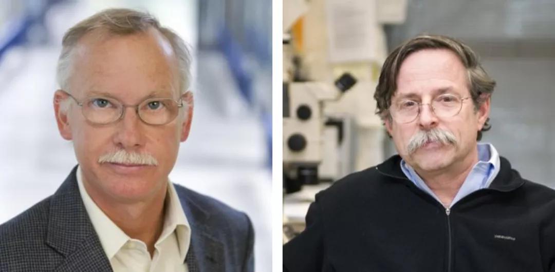 Nobel Prize prediction!8 groups of candidates, who will win the medical