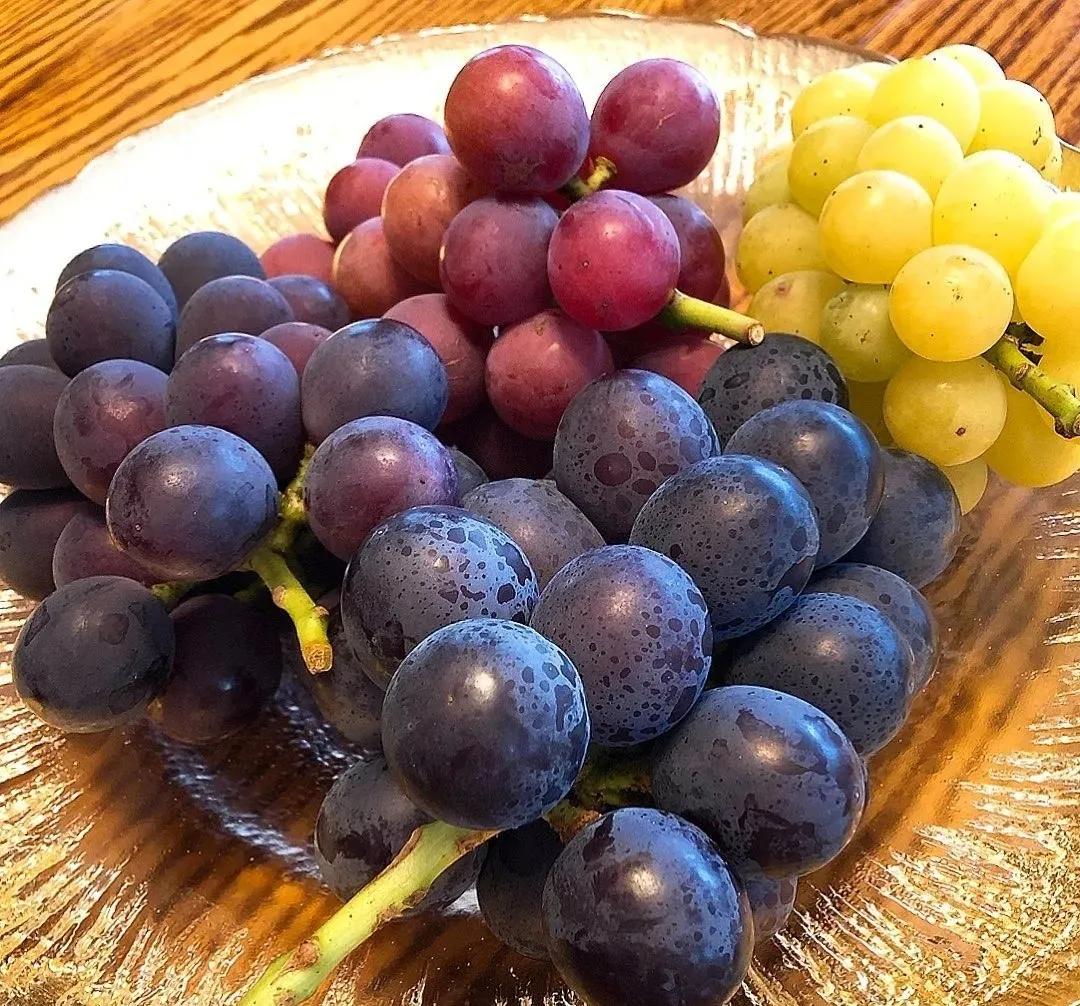 What is the difference between grapes and raisins? iNEWS