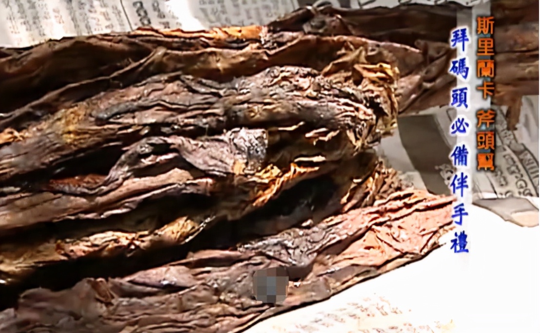 The axe gang of primitive tribes they are trapped in the forest