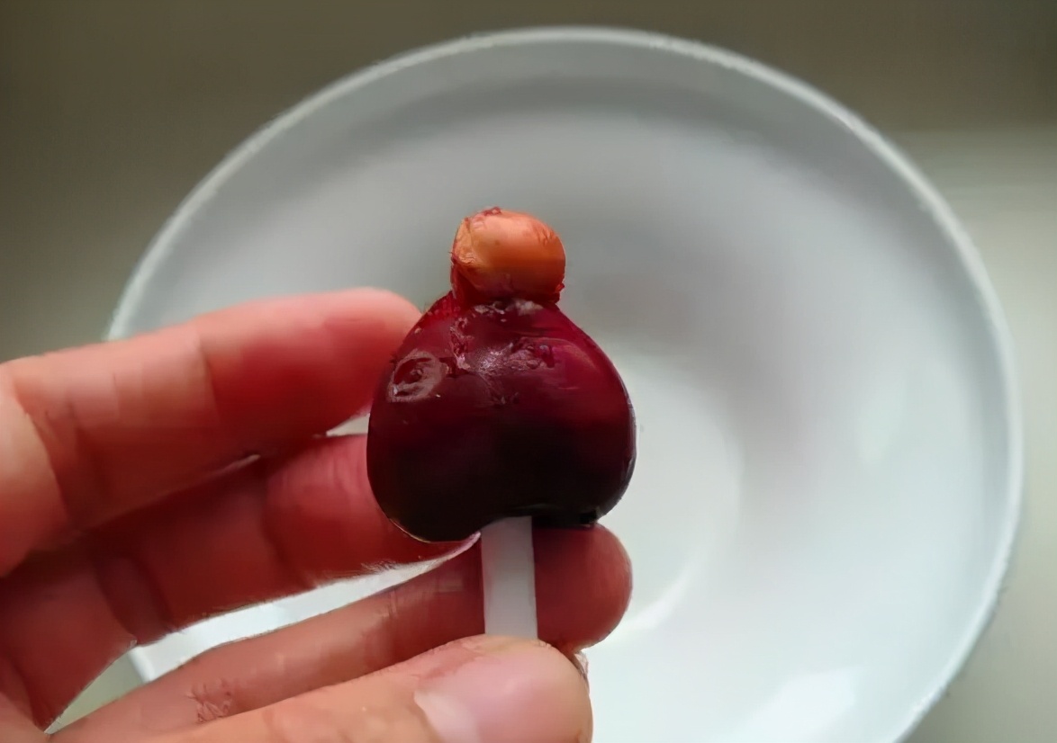 Don't throw away the cherries after eating!All treasures iNEWS