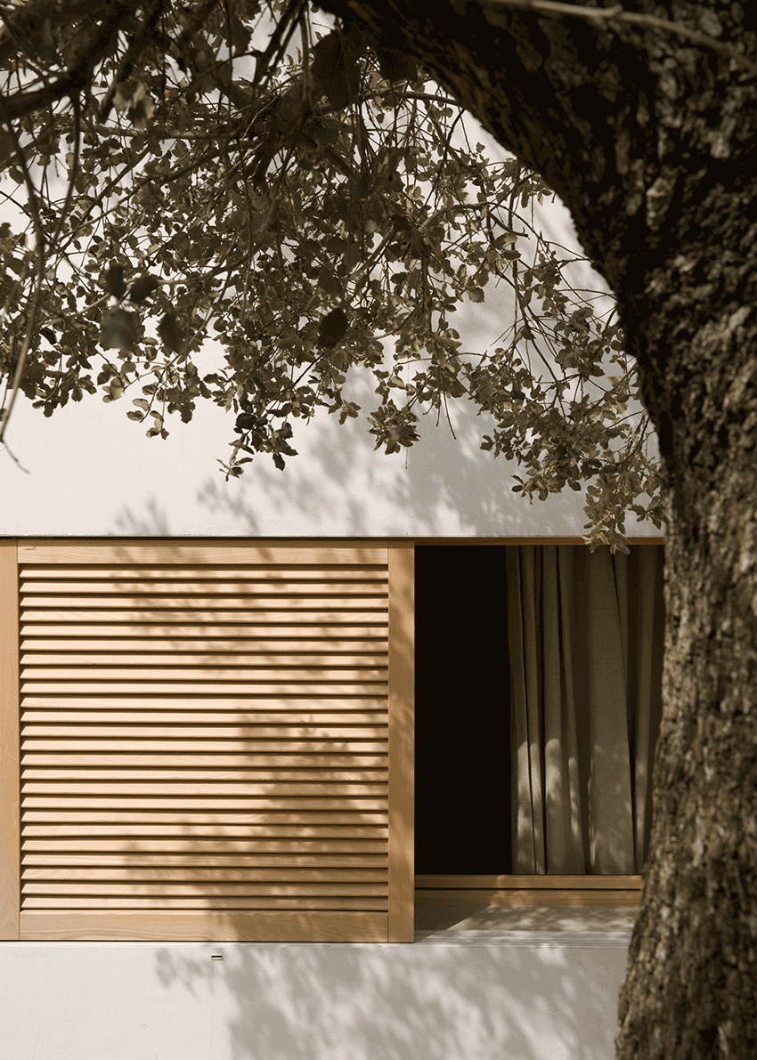 Where is microcement paint more expensive than ordinary paint? iNEWS