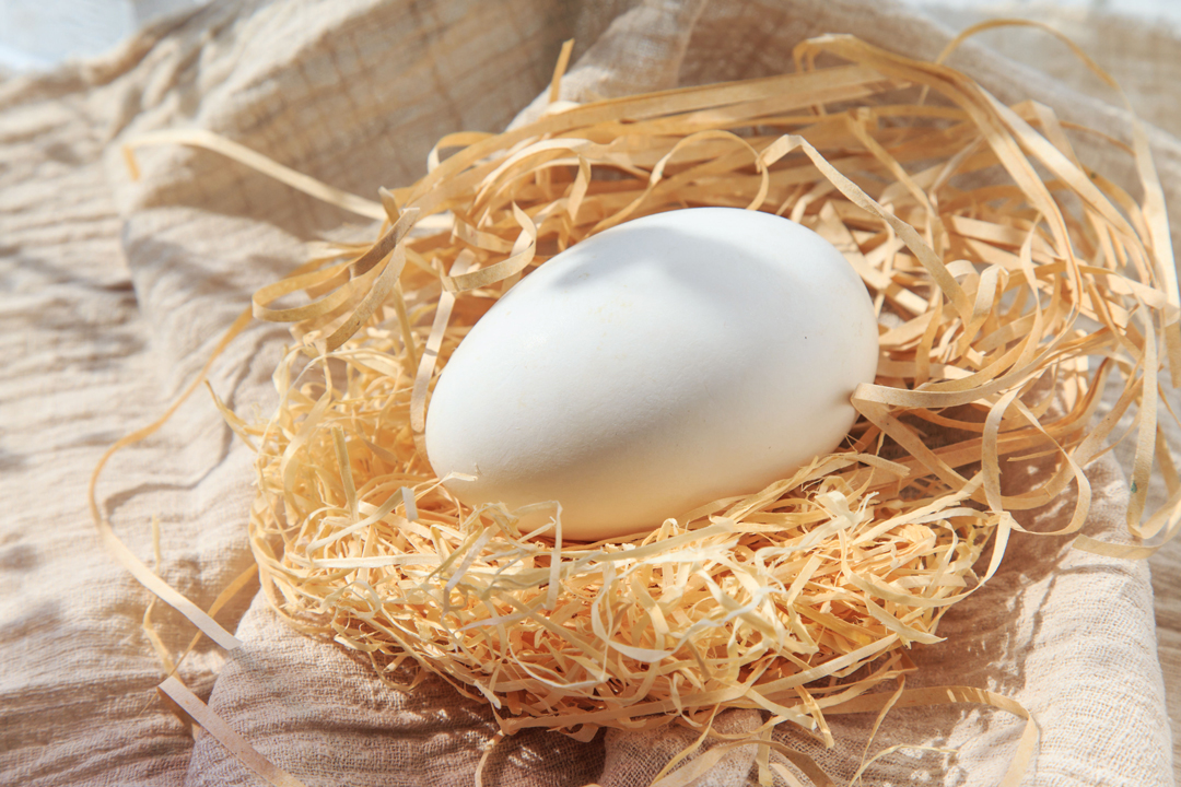 Egg, goose egg, duck egg, which is more nutritious?Tell you the