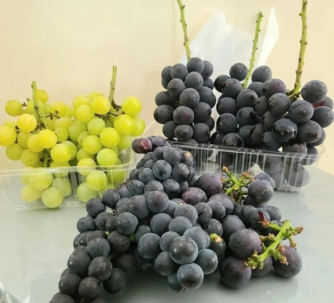 What is the difference between grapes and raisins? iNEWS