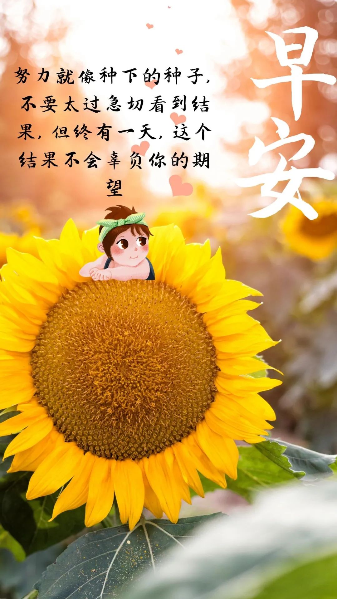 早安说说正能量图片日签，励志阳光早上好语录