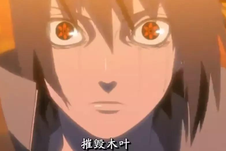 Itachi's will is to protect Konoha. After Sasuke inherited his brother