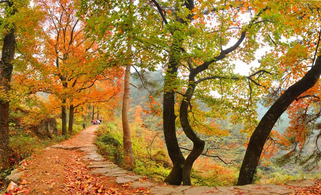 The location of "Changjin Lake" is exposed!Some people say that this