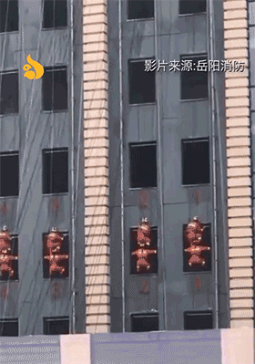 爆笑的GIF图片：你看我的眼神，像是服气的样子吗？