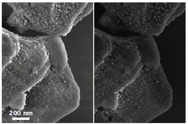 The magical micro world presented under the electron microscope - iNEWS