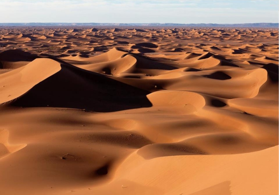 San Mao-love The Sahara - Inews