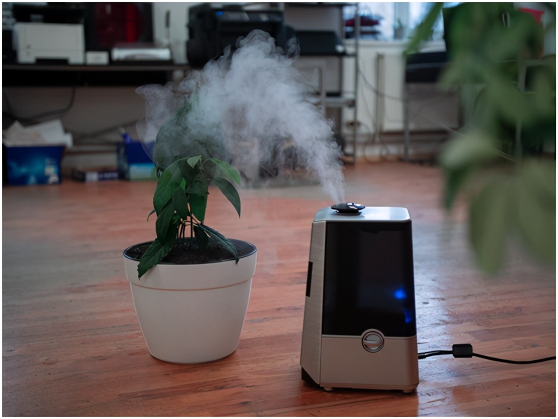 The price of 14,000 blood! After the South Korean Humidifier Murder