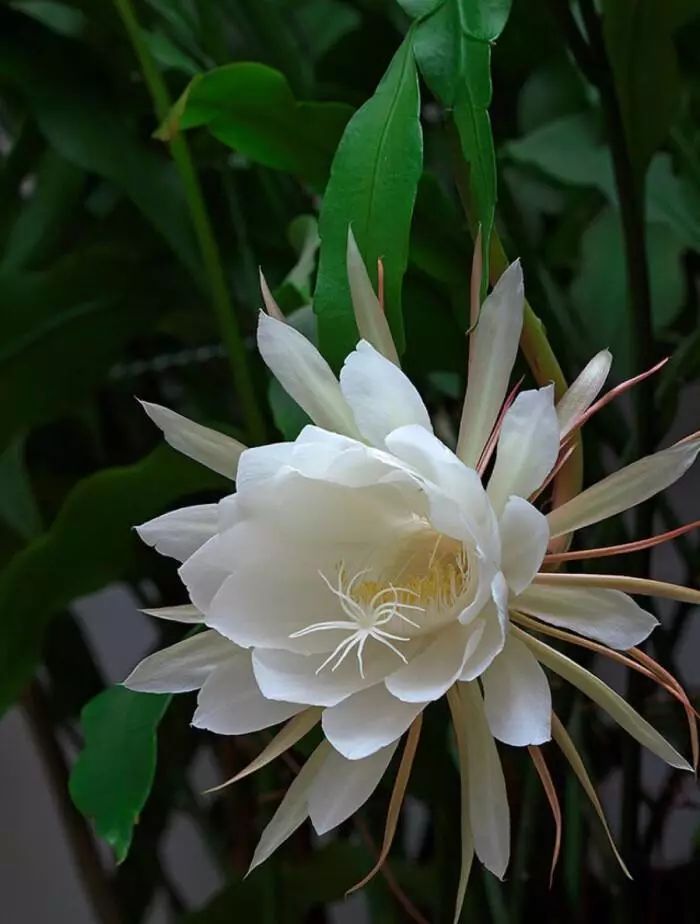 Challenge Try the "day and night reversal method" that makes the