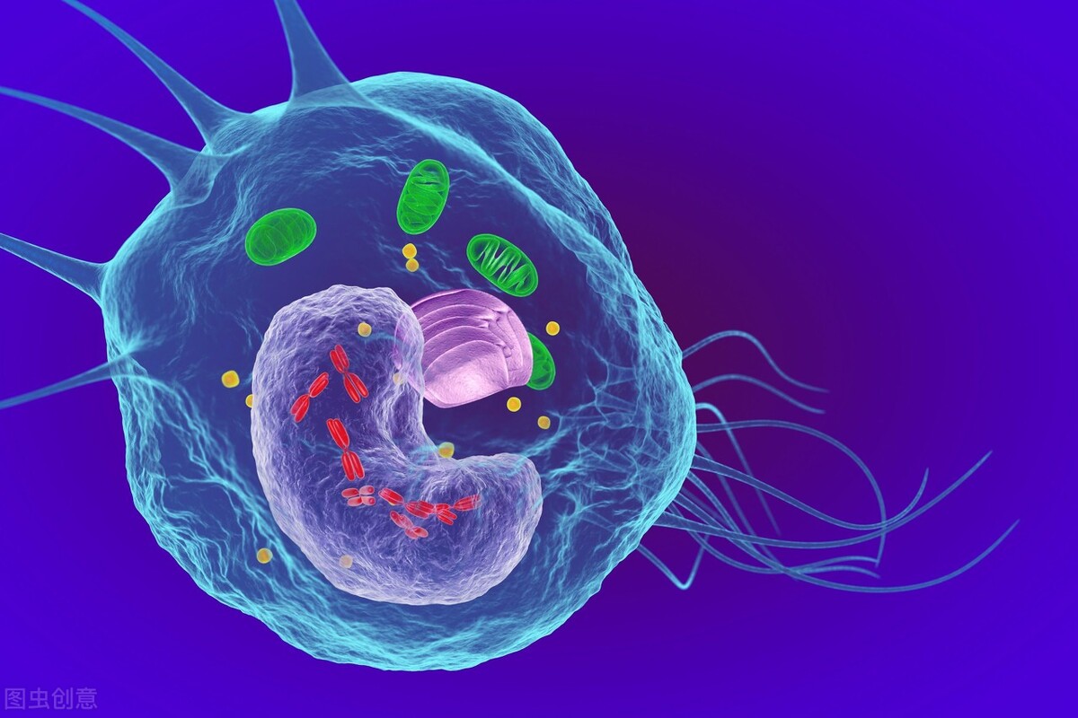 Cold boiled water, can't drink overnight water, thousands of boiling