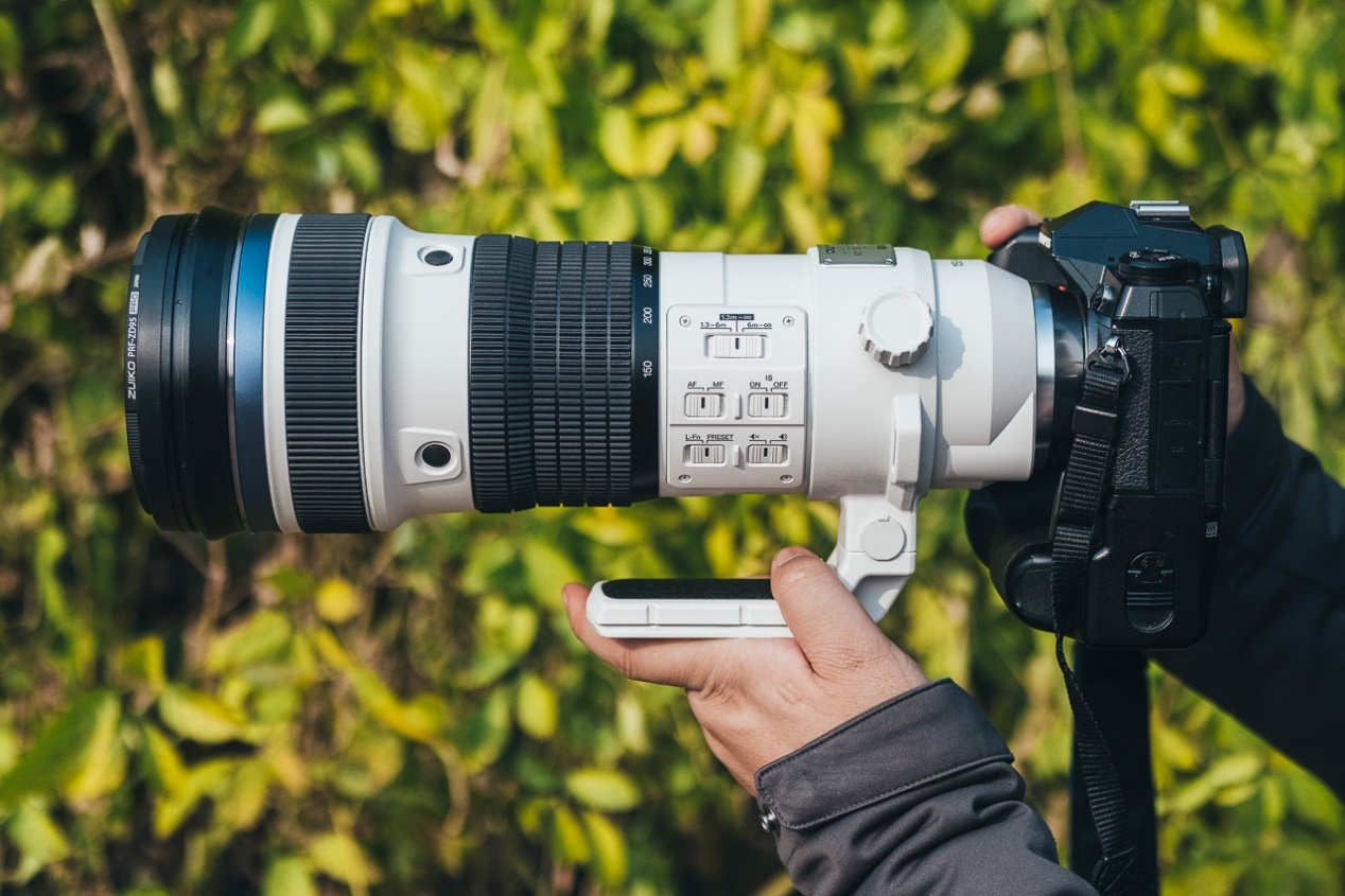 2000mm so easy, Olympus 150400/4.5 lens trial iNEWS