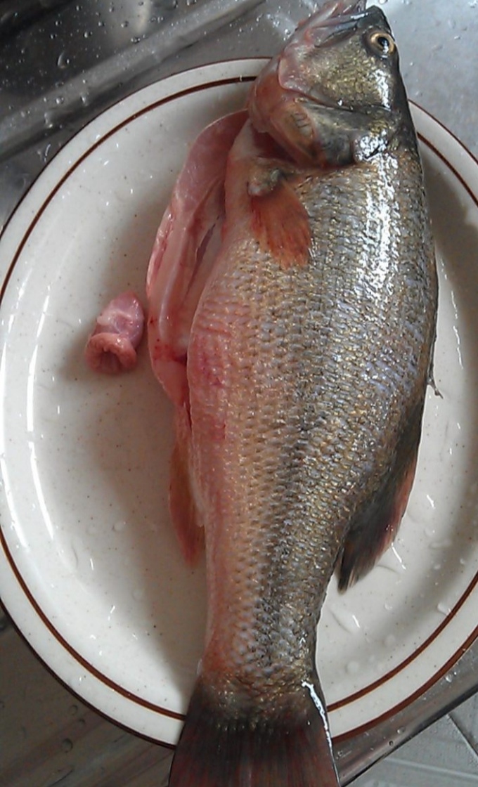 Sichuanstyle home cooking steamed sea bass is the best way to eat even the bones iNEWS