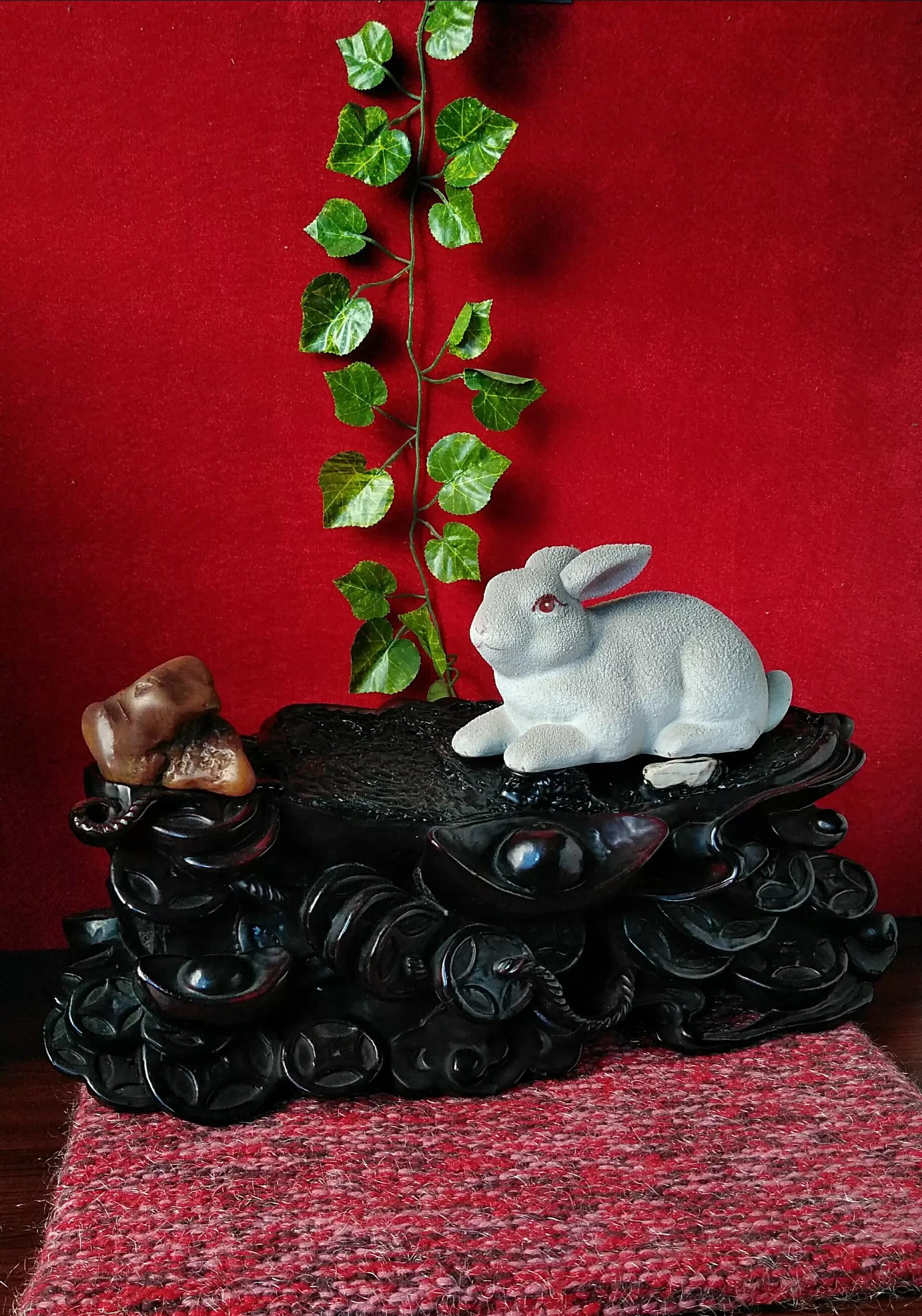 Yutu, Yuetu, Master Rabbit, Grandma Rabbit; which one is really the ...