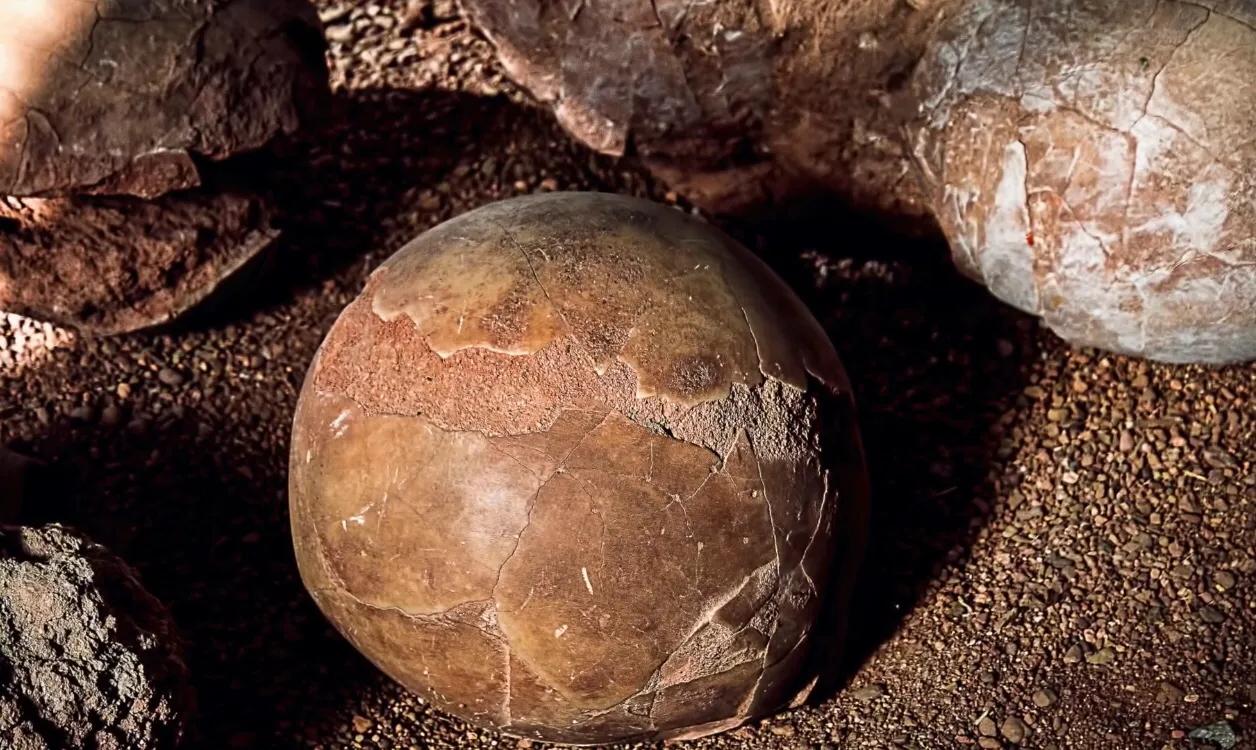 Scientists will "resurrect" the dinosaur through engineering