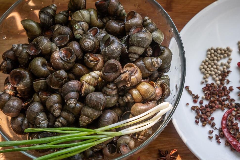You can't just add salt to clean the snails, add 2 more, the snails