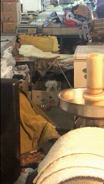 搞笑GIF图：你能不能像我一样矜持一点