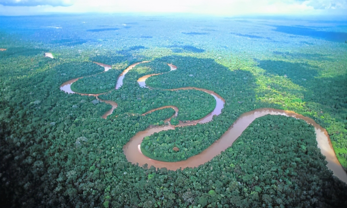 How terrible is the Amazon River? Why do not even the locals dare to swim in it? iNEWS
