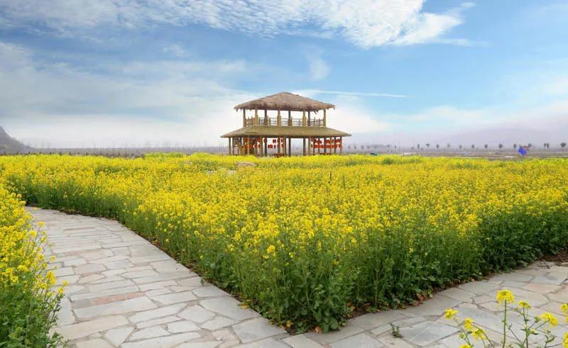 Panjin Tourism Resources: Lizhitiancheng - iNEWS