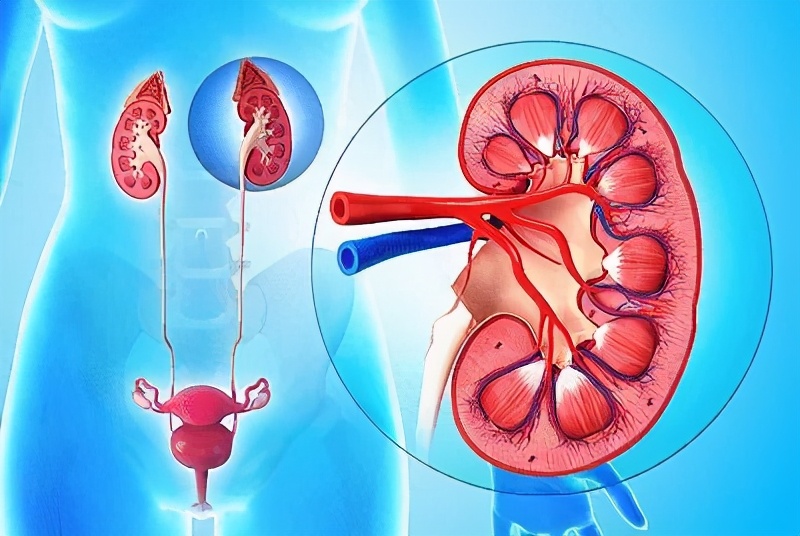 The orangered color in urine is probably due to these reasons iNEWS