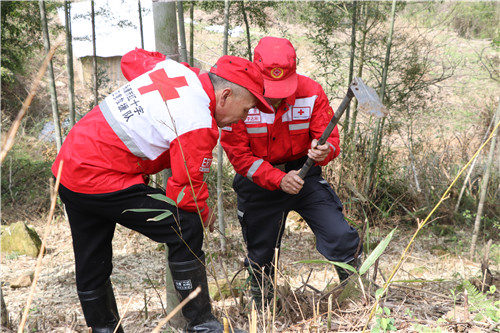 永康市红十字会联合市自然资源和规划局开展义务植树活动