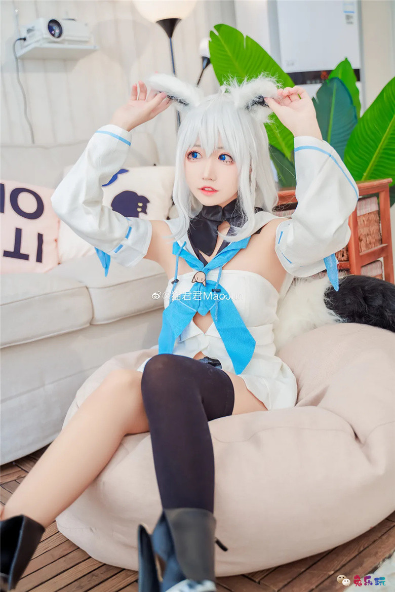 猫君君MaoJun丨《hololive》白上吹雪