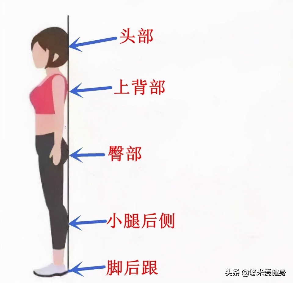 Can standing against a wall every night help lose weight? iNEWS