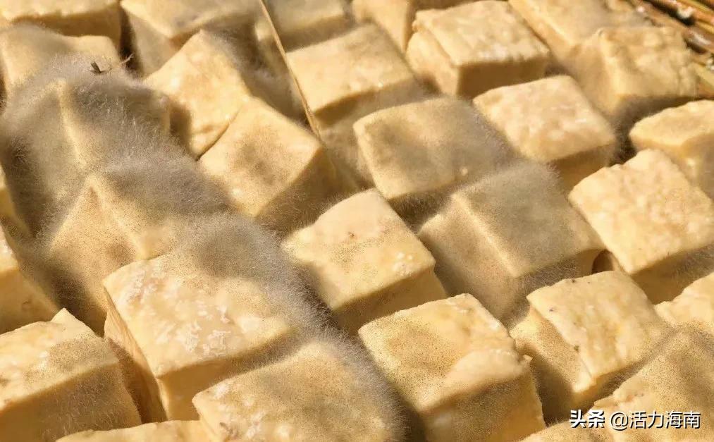 [Science Encyclopedia] Fermented bean curd is unhealthy because of too