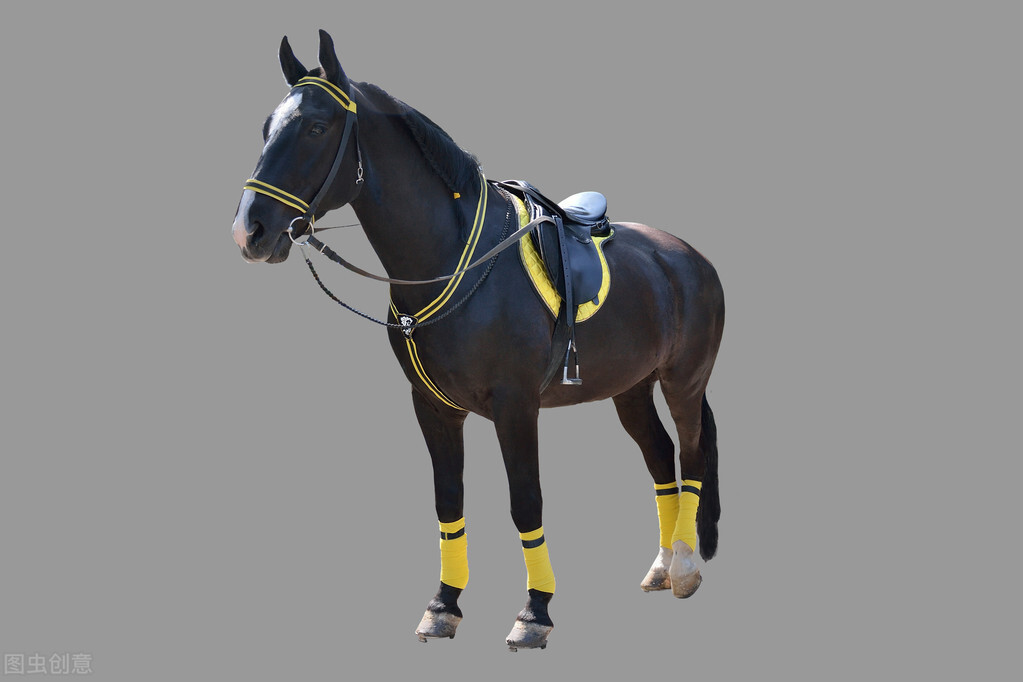 The most important military invention of Chinese civilizationstirrup