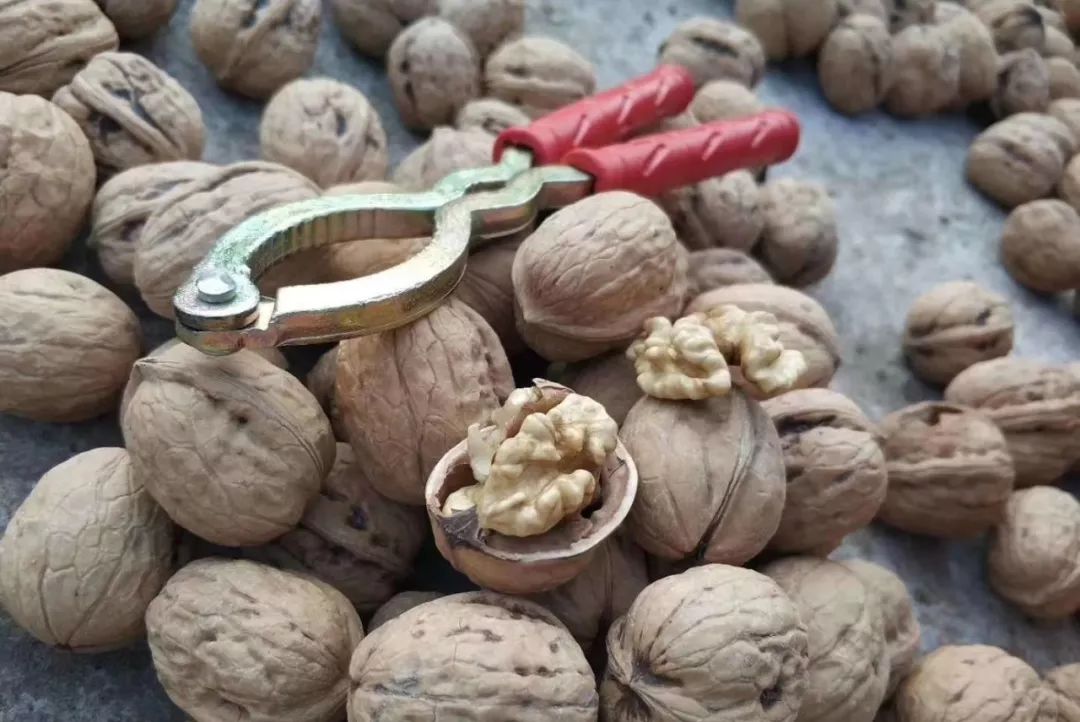 The brain's favorite food has nothing to do with walnuts, but these two foods rich in lecithin