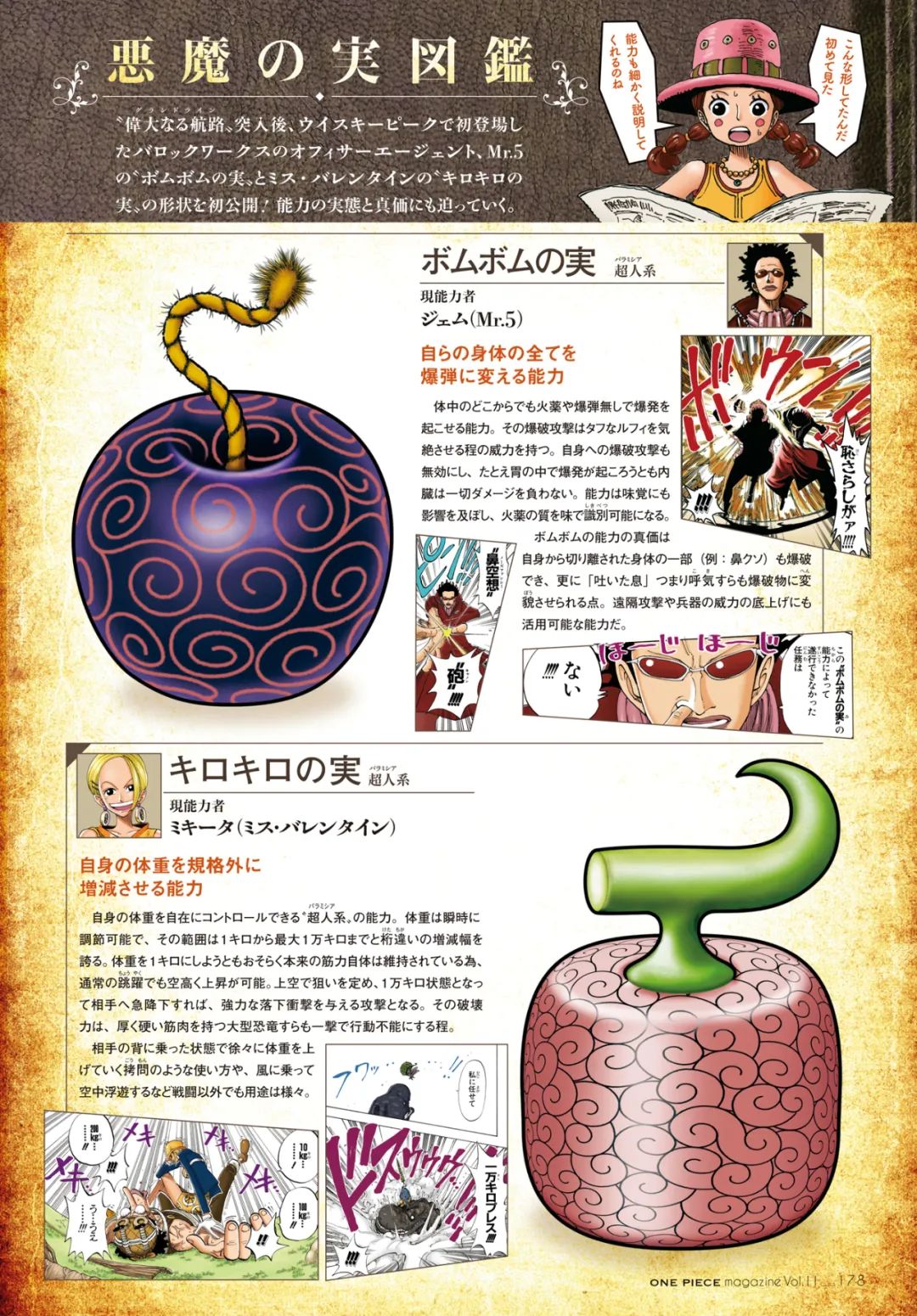 The Devil Fruit Illustrated Book is here!12 unseen "devil fruit shapes
