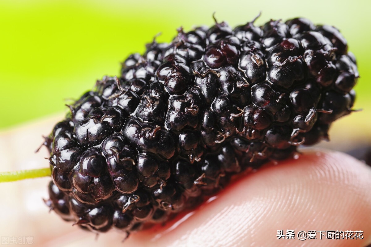 Mulberry cleaning tips, simple and hygienic, and finally you can eat