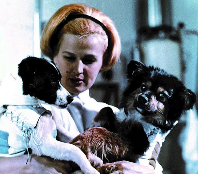 The first dog to enter space knows that it will not come back before it