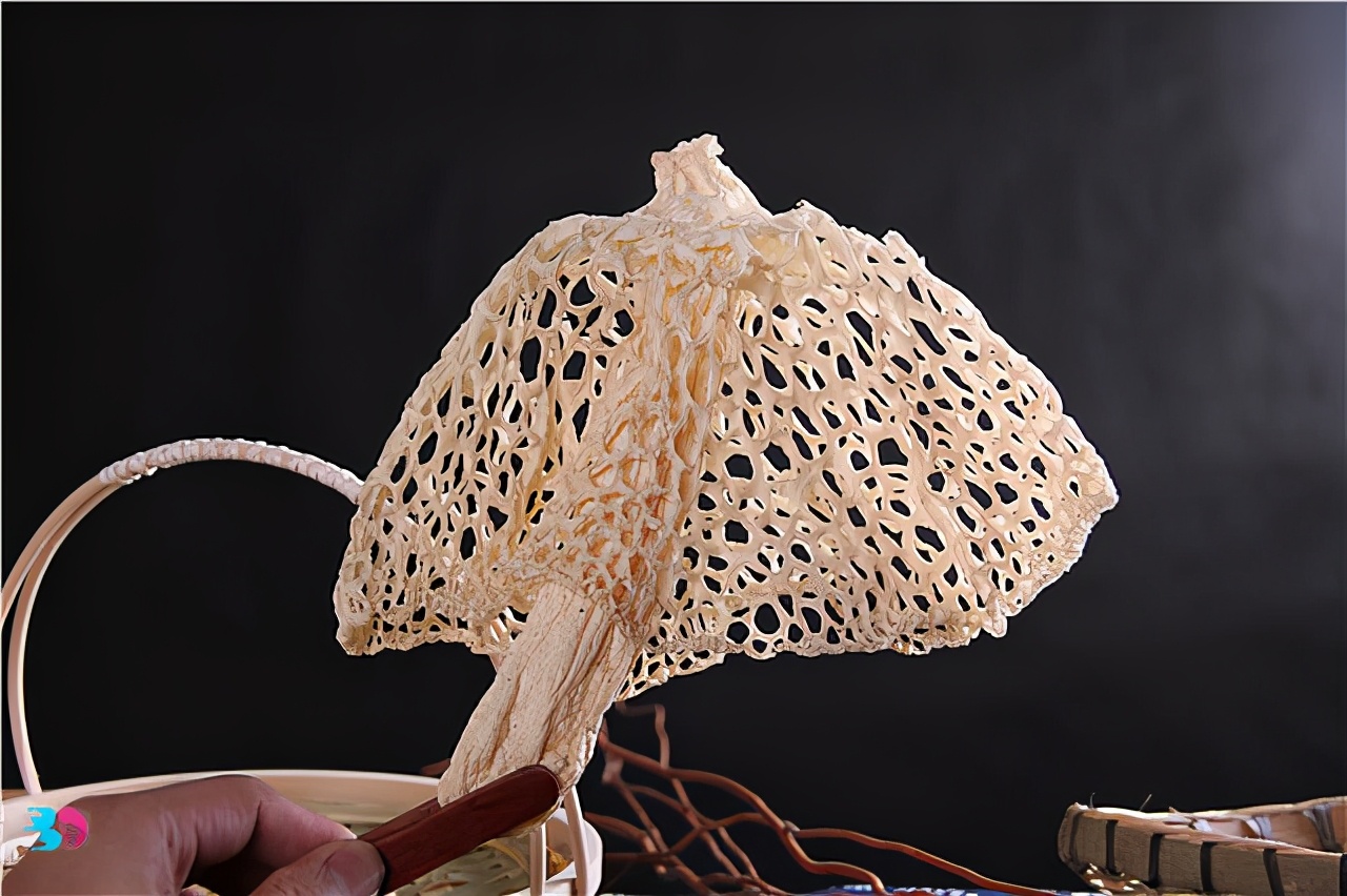 How to soak the nutritious dried bamboo fungus?How to preserve dried